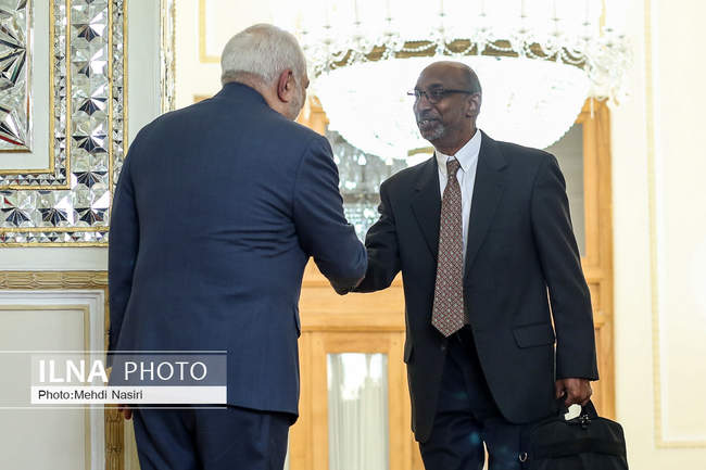 دیدار وزیرخارجه هند با محمد‌جواد ظریف