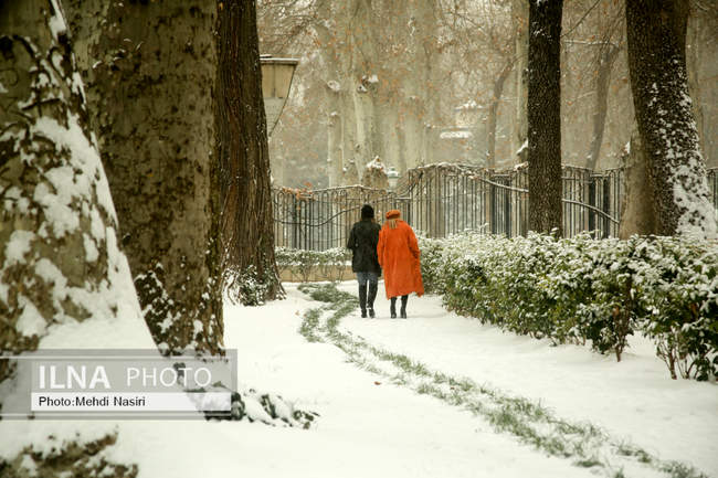 مجموعه فرهنگی-تاریخی نیاوران در یک روز برفی