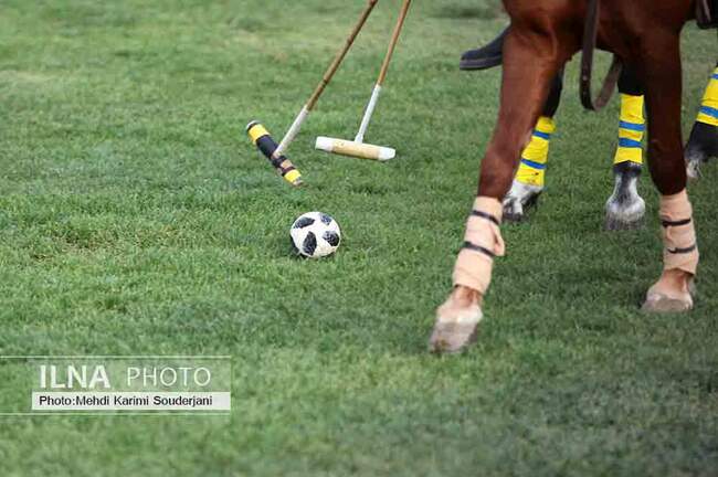 IMG_5248 copy