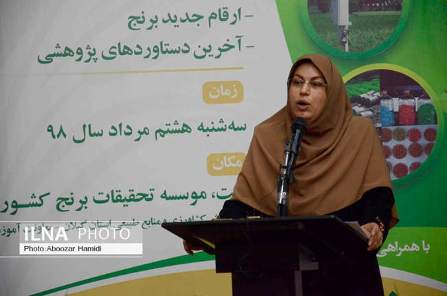دومین روز ملی مزرعه برنج