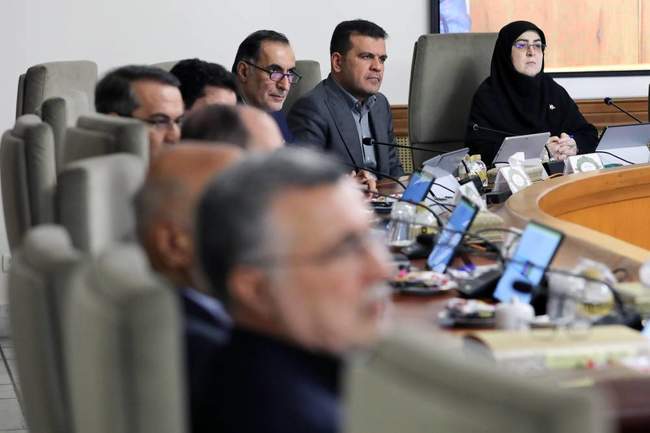 جلسه هیات دولت به ریاست معاون اول رئیس جمهور 