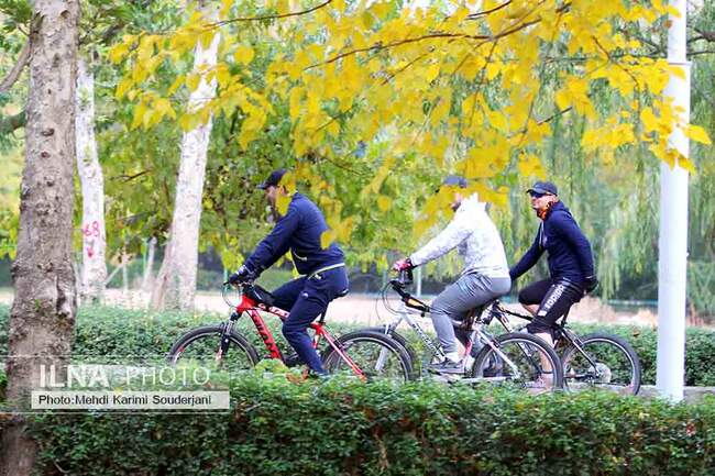IMG_1251 copy