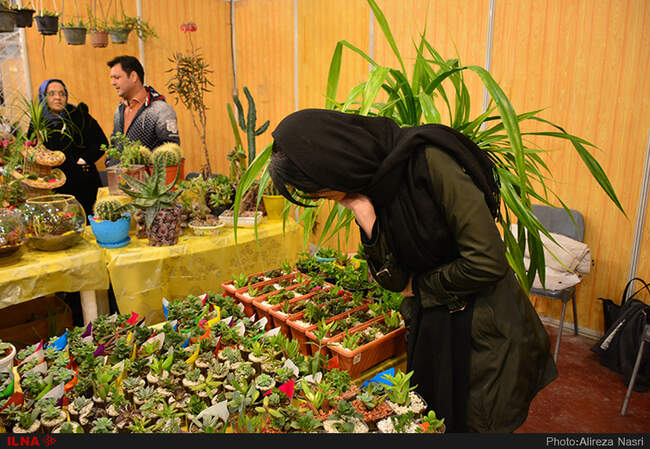 نمایشگاه گل و گیاه در استان قزوین