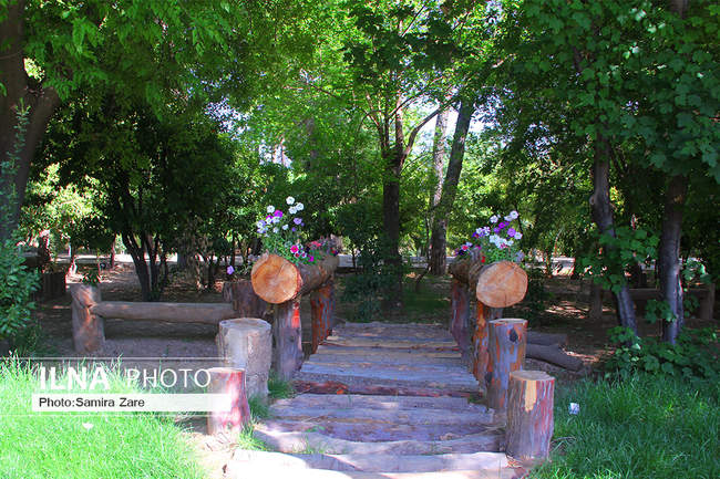  فصل بهار در باغ ارم شیراز