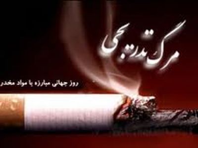 ارشاد استان البرز برنامه‌های متنوعی برگزار می‌کند