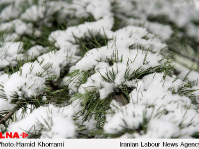 اردبیل آخر هفته جاری برفی می‌شود