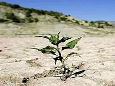 پیش‌بینی‌های لازم در خصوص خشکسالی انجام شده است