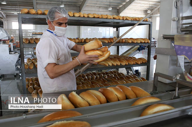 دیدار دبیر کل خانه کارگر با بخشدار فشافویه و بازدید از واحد های تولید