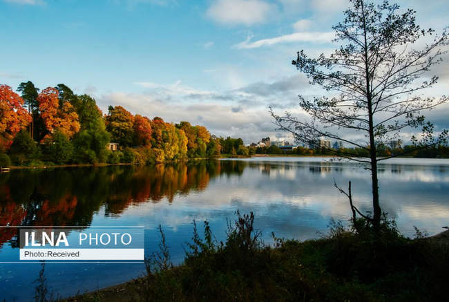 پاییز طلایی