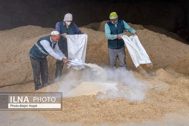 مزرعه دامپروری چپرقویمه، در مسیر محرومیت زدایی