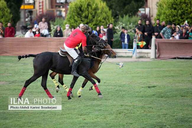 IMG_5176 copy