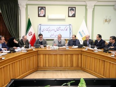 بیش از ۹۰ درصد تسهیلات ابلاغی توسعه اشتغال روستایی استان پرداخت شده است