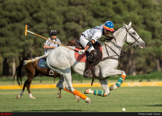 مسابقات چوگان جام قهرمانی کشور ۱۳۹۵: نزاجا-قصرفیروزه