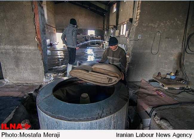 کارگاه های قالیشویی