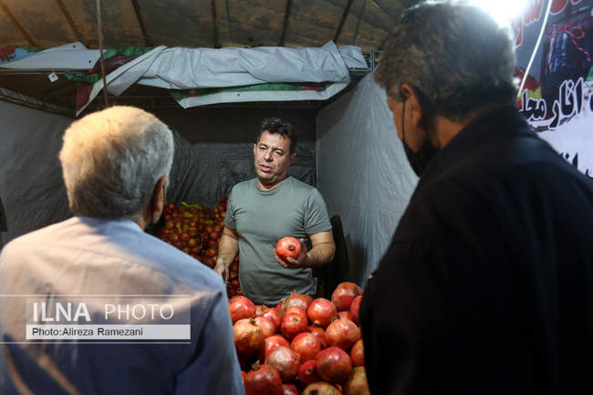 جشنواره «صد دانه یاقوت»