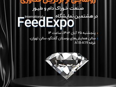 حدس و گمان‌های پیرامون شرکت صاشکو
