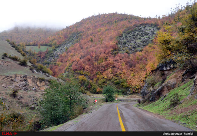 طبیعتِ پاییز در رودبار گیلان