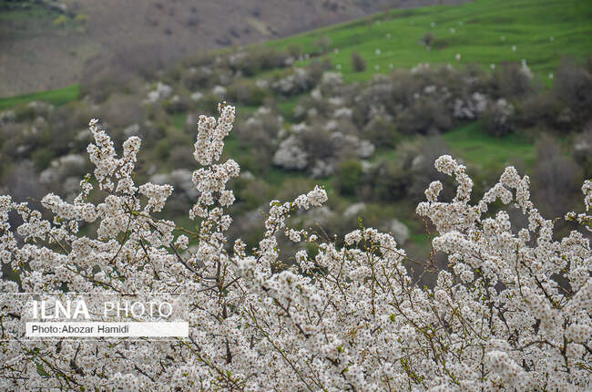 طبیعت بهاری رودبار گیلان