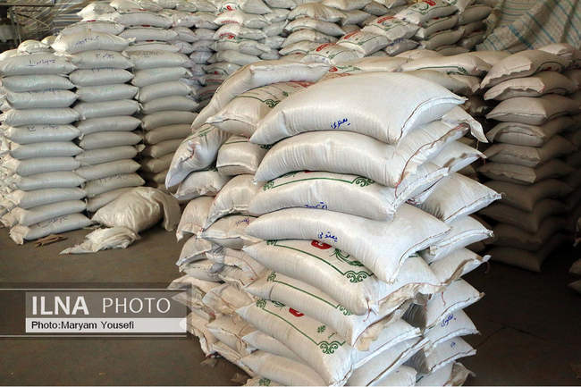 شالی کوبی در شهر میانه