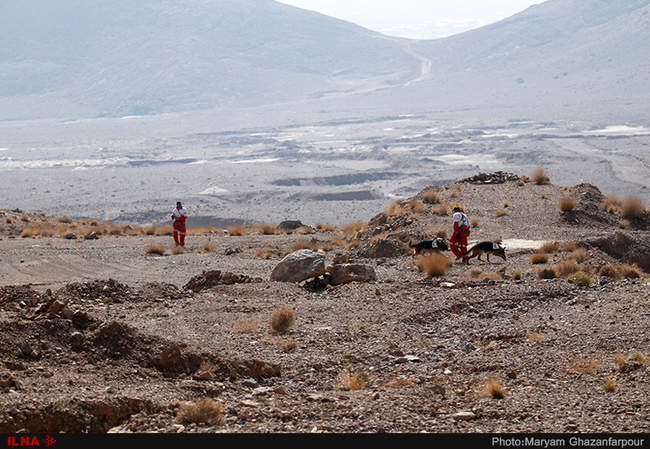 مانور سگ های آنست در اصفهان