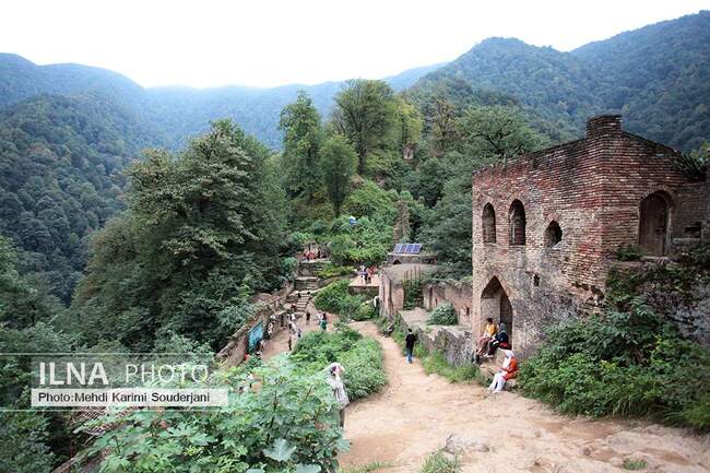 IMG_1993 copy