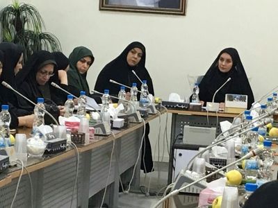 کارگاه‌های قالیبافی ویژه زنان بی‌سرپرست بخش کهریزک ایجاد می‌شود