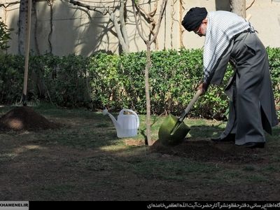 درختکاری نماد امید به آینده و تداوم راه شهدا است
