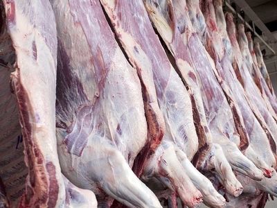 مهر و موم  ۲۷۷ واحد متخلف غذایی در کرمانشاه