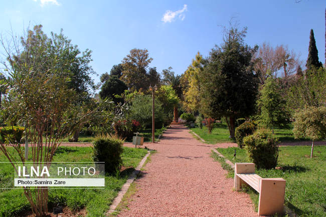 فصل بهار در باغ ارم شیراز