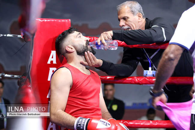 بیستمین دوره مسابقات قهرمانی بوکس کشور 