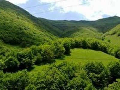 بازگشت بیش از 600 هکتار از اراضی ملی گلستان به منابع طبیعی