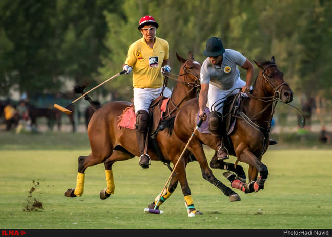 مسابقات چوگان جام قهرمانی کشور ۱۳۹۵: کانون البرز-نوروزآباد
