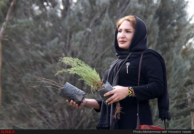 نهال کاری در دامنه کوه آبیدر سنندج 
