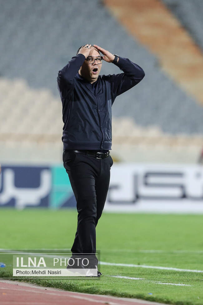  محمد ربیعی