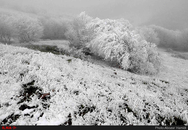 بارش برف بهاری در داماش گیلان