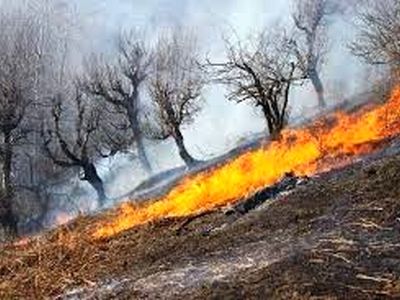 شعله های آتش در منطقه حفاظت شده هلن جان دوباره گرفت