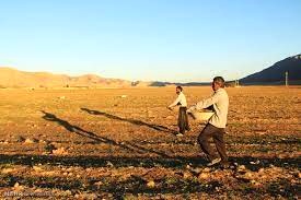 کشت گندم پاییزه در ۴۰ هزار هکتار از اراضی چهارمحال و بختیاری