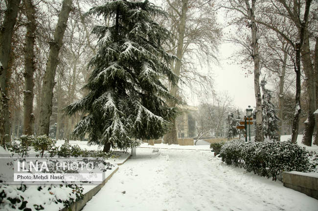 مجموعه فرهنگی-تاریخی نیاوران در یک روز برفی