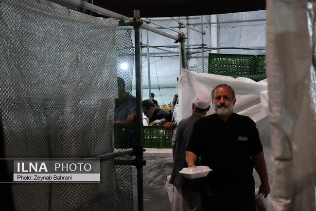 حال و هوای موکب های حرم مطهر رضوی