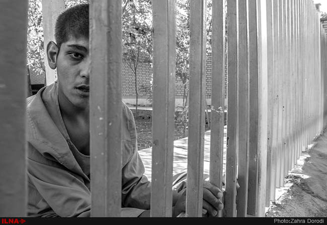 تنهایی پر هیاهو / استان قم