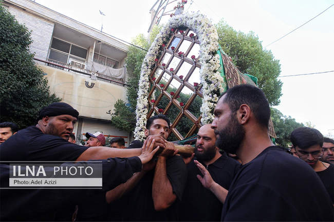 مراسم کهن نخل گردانی تفرش در عصر عاشورا