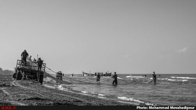 Fishing1