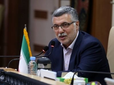«مرگ و میر جاده‌اى» تلاش‌ها در زمینه بارورى را هدر می‌دهد
