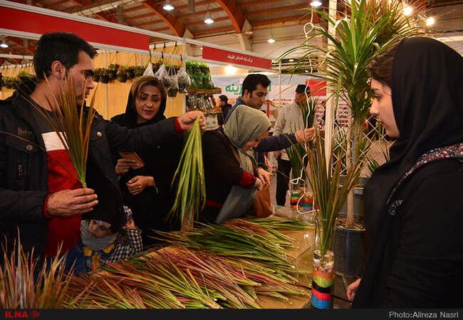 نمایشگاه گل و گیاه در استان قزوین