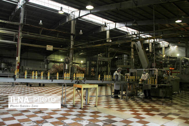بازدید اعضای شورای شهر شیراز از خط تولید کارخانه روغن نباتی