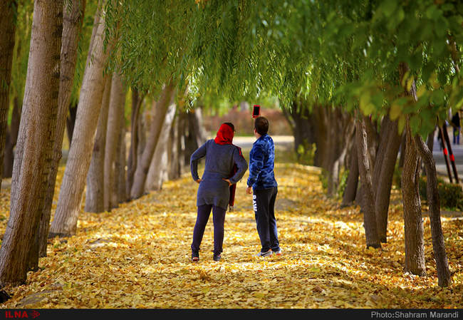 برگ ریزان پاییز اصفهان