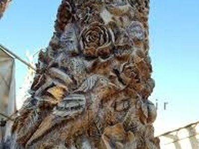 خلاقیت جالب شیرازی‌ها بر روی یک درخت خشکیده