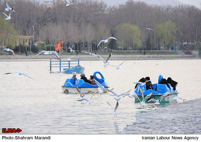 زاینده رود...