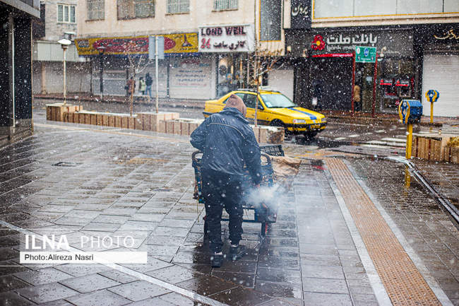 قزوین در آغوش برف به روایت تصویر