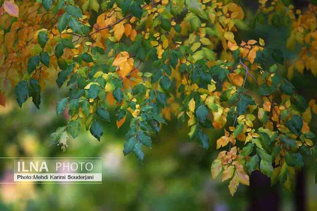 IMG_1320 copy